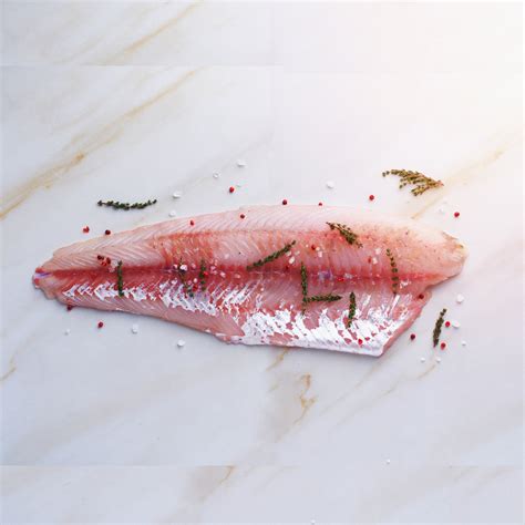 Sea Bass fillet(500 gm) – Bombay Fish Co.
