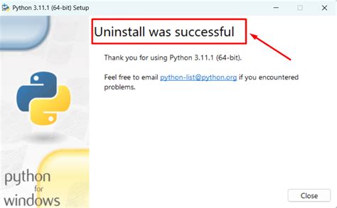 Remove Python Windows 的图像结果