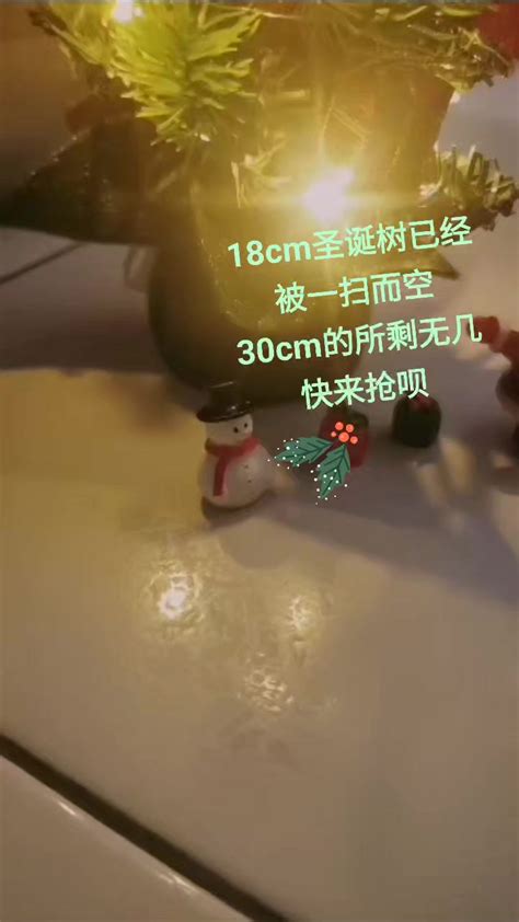 Evolution Code 的图像结果