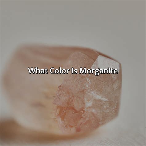 What Color Is Puce - colorscombo.com