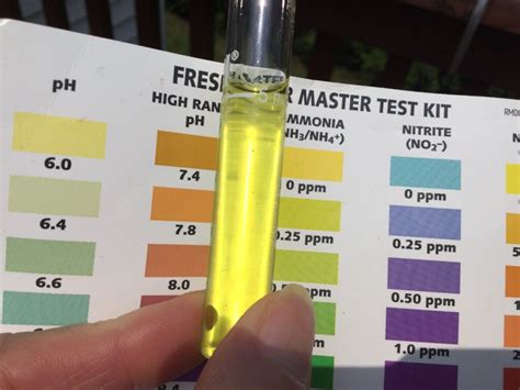 Image result for API Test Strip Guide