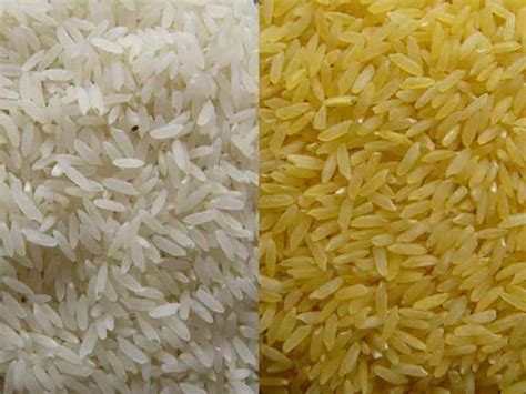 SHRI RAM FOODS COVERS THE WIDEST RANGE OF AUTHENTIC INDIAN RICE ...