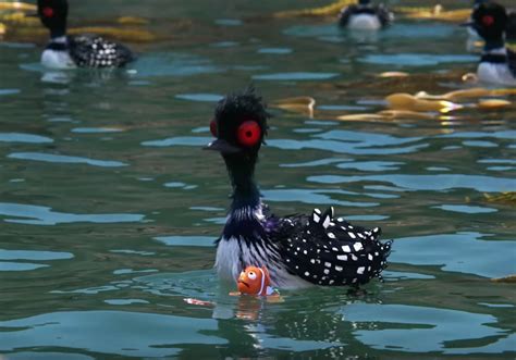 Becky Steals The Show In 'Finding Dory' & Joins The List of Pixar Movie ...