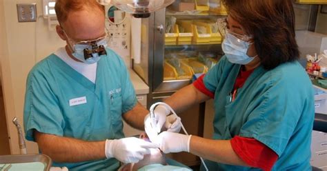 What is Endocarditis? Man develops lump on hand after dental check-up ...