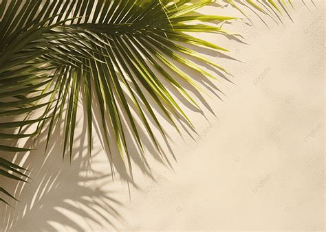 Plain Spring Background 的图像结果