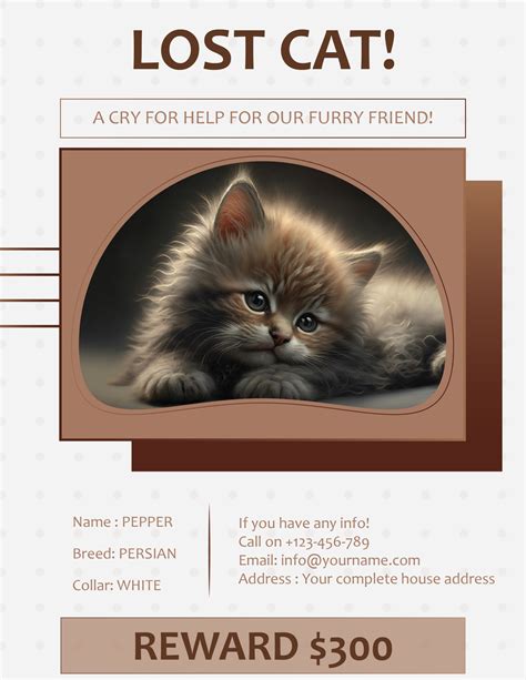 Warm and Professional Lost Cat Flyer Template - WordLayouts