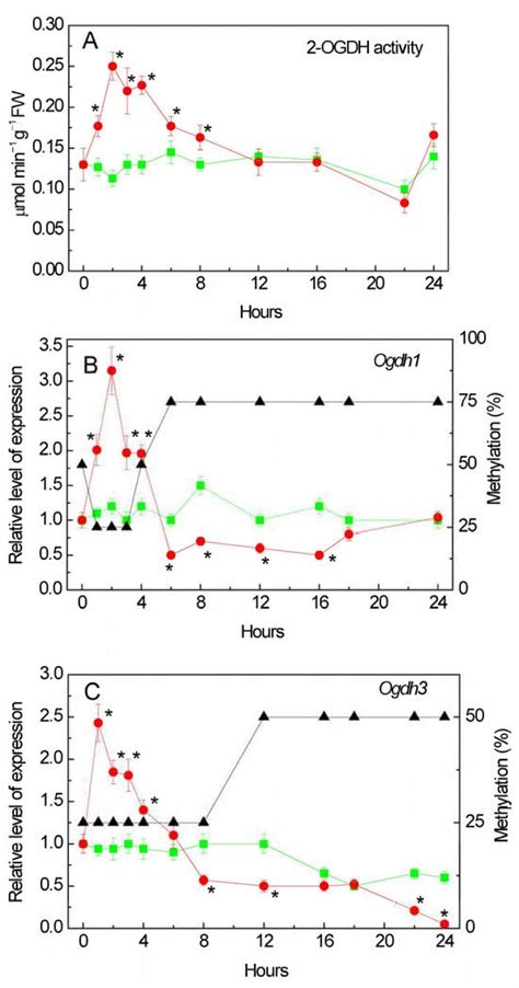 Biochemical and Epigenetic Regulation of Glutamate Metabolism in Maize ...