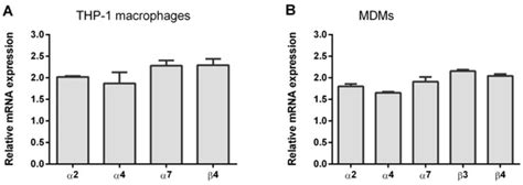 Activation of α7 Nicotinic Acetylcholine Receptor Upregulates HLA-DR ...