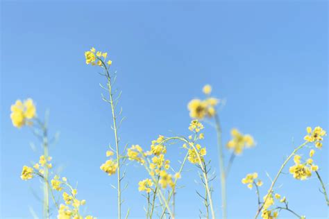 Image result for Video Life Lessons