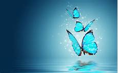 Wallpaper Butterfly Images by Butterfly Wallpapers Best Wallpapers Wallpaper Butterfly Images