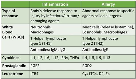 Image result for Inflammation Reaction
