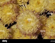 Image result for Winter Color by Letter