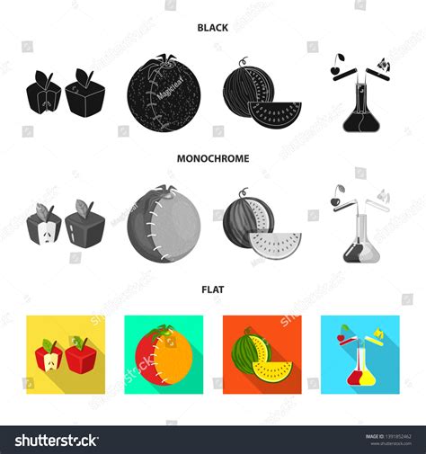 Image result for Test Script Creation Symbol