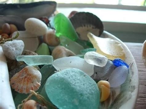 Image result for Pearly Shells Lesson