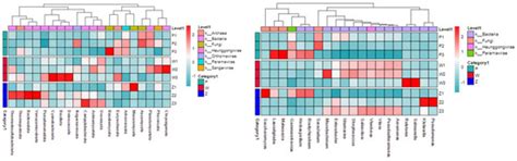 An Evaluation of Pig Type Regarding the Quality of Xuanwei Ham