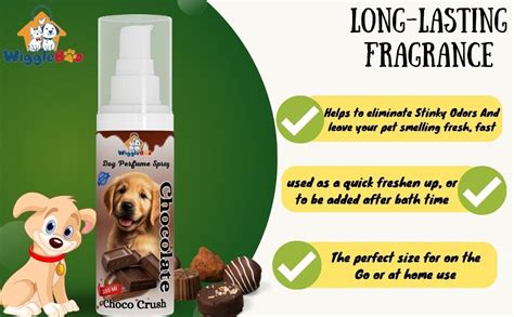 Buy WiggleBoo Dog Perfume Spray Choco Crush Deo for Dog & Cat, Alcohol ...