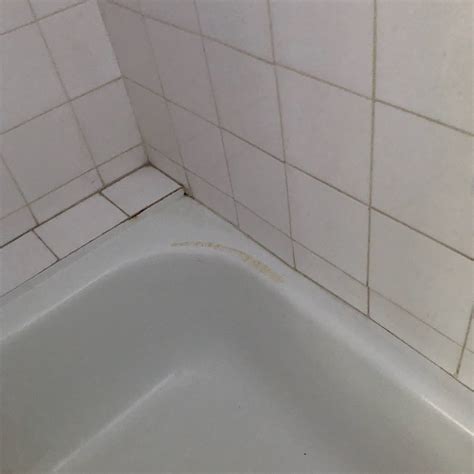 SAHARA DE LA MER RESORT (Montego Bay) - Resort Reviews & Photos ...