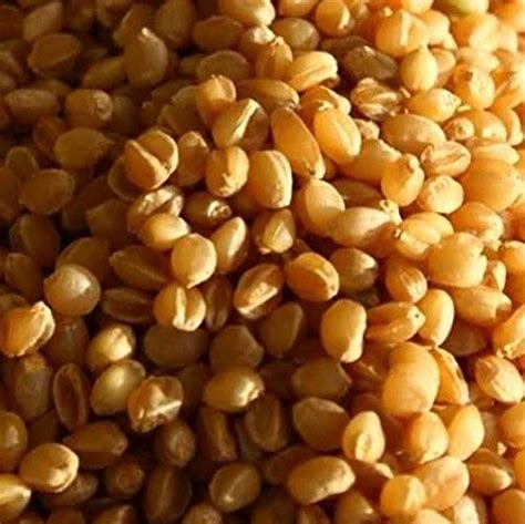 VISION CRAFTED VISION CRAFTED PUNJAB Chemical Free Rare Desi Sona Moti ...