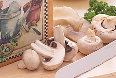 Salata od gljiva – osnovni recept – Recepti