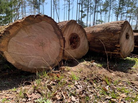 Image result for Fall Line Ridge Gear