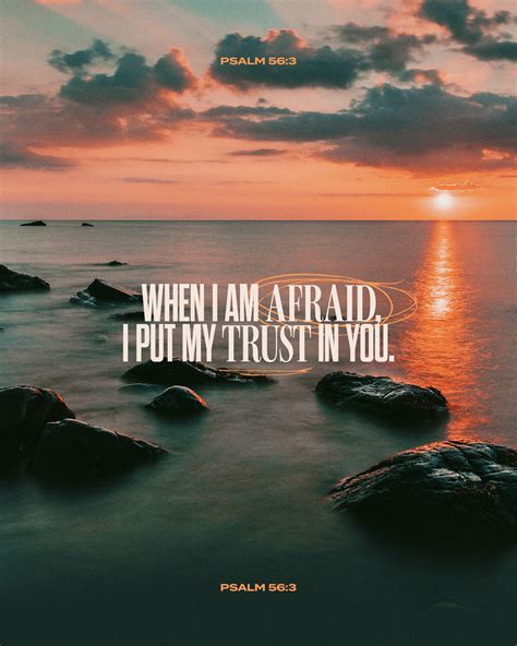When I am afraid, I put my trust in you. - Psalm 56:3 - Sunday Social