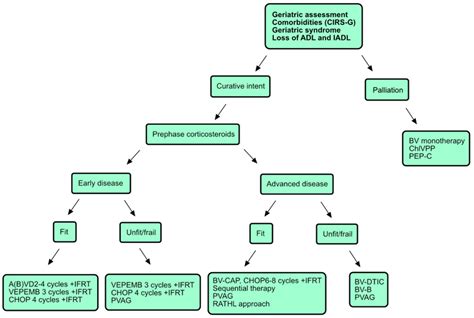 Clinical Dilemmas in the Treatment of Elderly Patients Suffering from Hodgkin Lymphoma: A Review