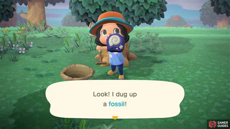 Finding Fossils - Island Living - Beginner's Guide | Animal Crossing: New Horizons | Gamer Guides®