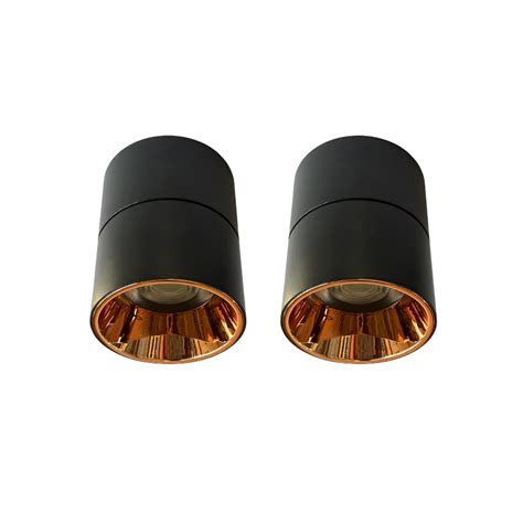 Technobeam 12 Watts Surface Light Cylindrical Shape Black Body Rose ...