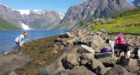 ØKSFJORDJØKELEN (2026) All You Need to Know BEFORE You Go (with Photos ...