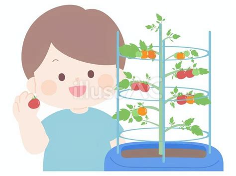 Image result for Software Development Project Management