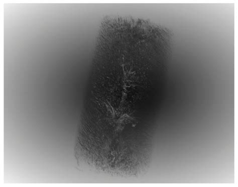 Preparation of Stacked Polymyxin B-Functionalized Cryogels for ...
