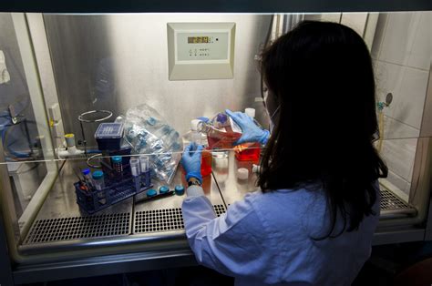 Reprogramming Cells 的图像结果