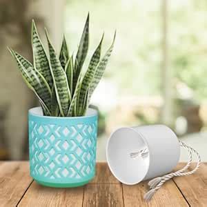 DOAP Self Watering Tabletop Plastic Flower Pot | 8 Inch Indoor Planter ...