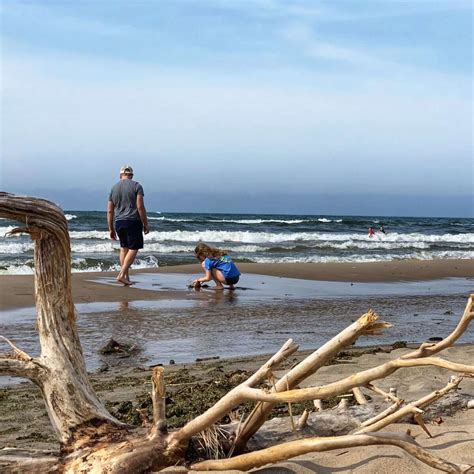 Saugatuck Dunes State Park: All You Need to Know