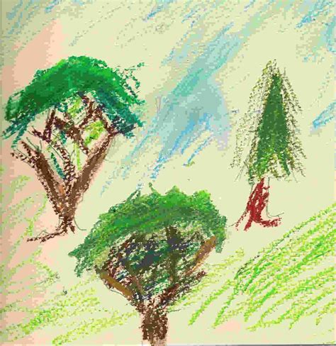 Image result for Random Forest Explained