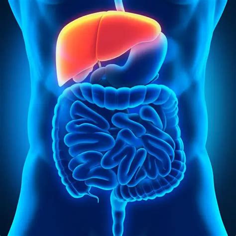 Image result for Hida Scan Explained