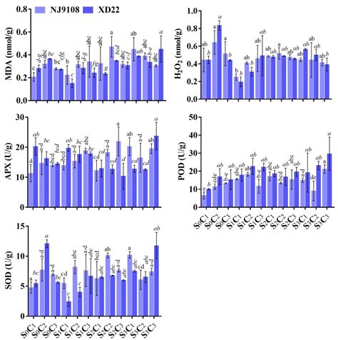 Methyl Jasmonate Alleviates the Deleterious Effects of Salinity Stress ...