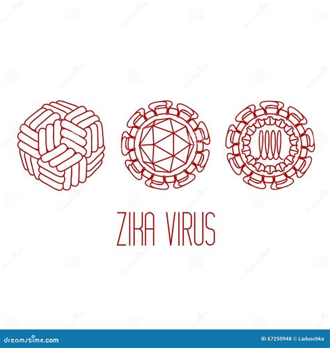 Structure Of Zika Virus Cartoon Vector | CartoonDealer.com #69037043