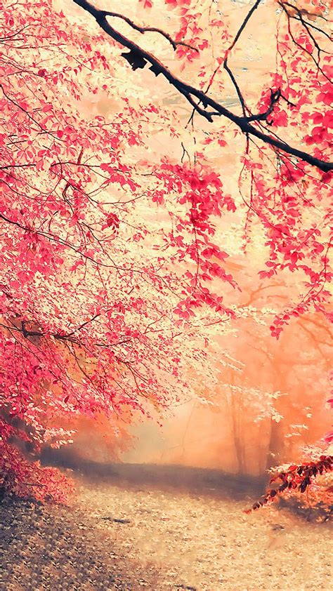 Phone Background 的图像结果