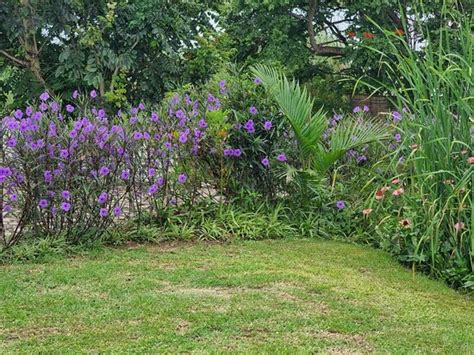 Eswatini (Swaziland) Pictures - Traveller Photos of Eswatini (Swaziland ...