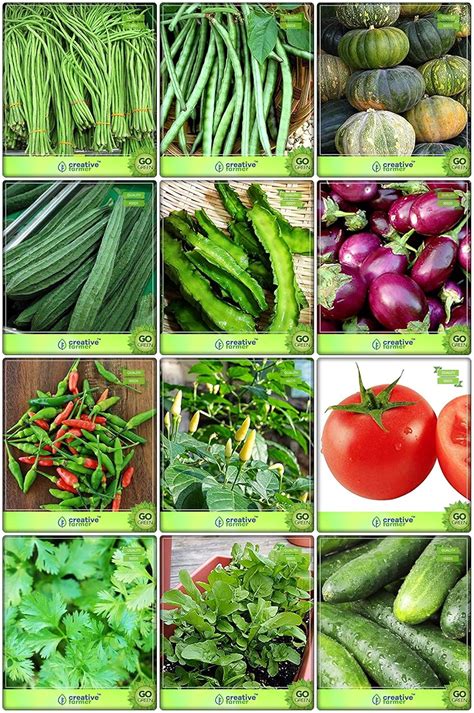 Creative Farmer Garden Seeds Combo Vegetable Seeds : Cowpea (Vj ...