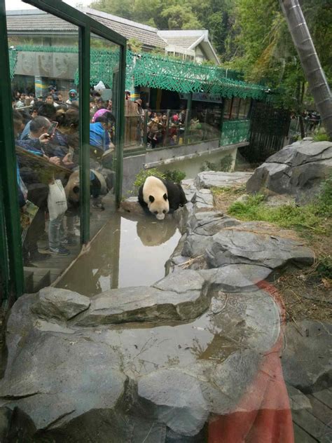 南京红山森林动物园攻略,南京红山森林动物园门票/游玩攻略/地址/图片/门票价格【携程攻略】