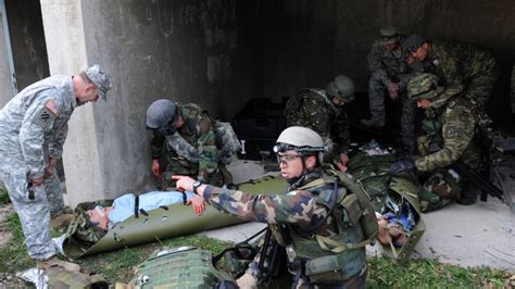 Logistic Support Army 的图像结果