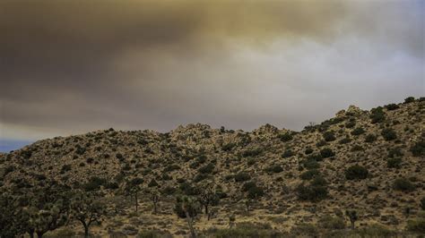 Download wallpaper 2560x1440 rocks, trees, bushes, grass, sky ...