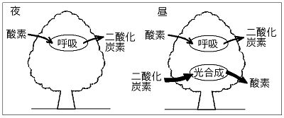 Image result for WisdomTree China