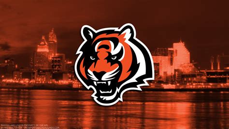 Bengals Wallpapers - Top Free Bengals Backgrounds - WallpaperAccess