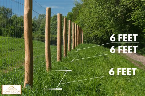 Cattle Fence T Post Spacing at Benjamin Payne blog