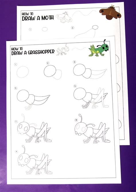 Step by Step Drawing Insects 的图像结果