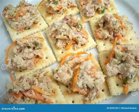 Tuna and Crackers stock photo. Image of tuna, plate, snack - 8294704