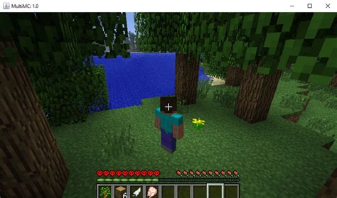 Image result for Minecraft Skin with Cape Java